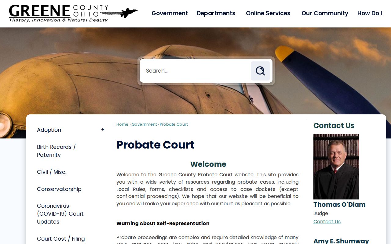 Greene County civil docket Probate Court access page
