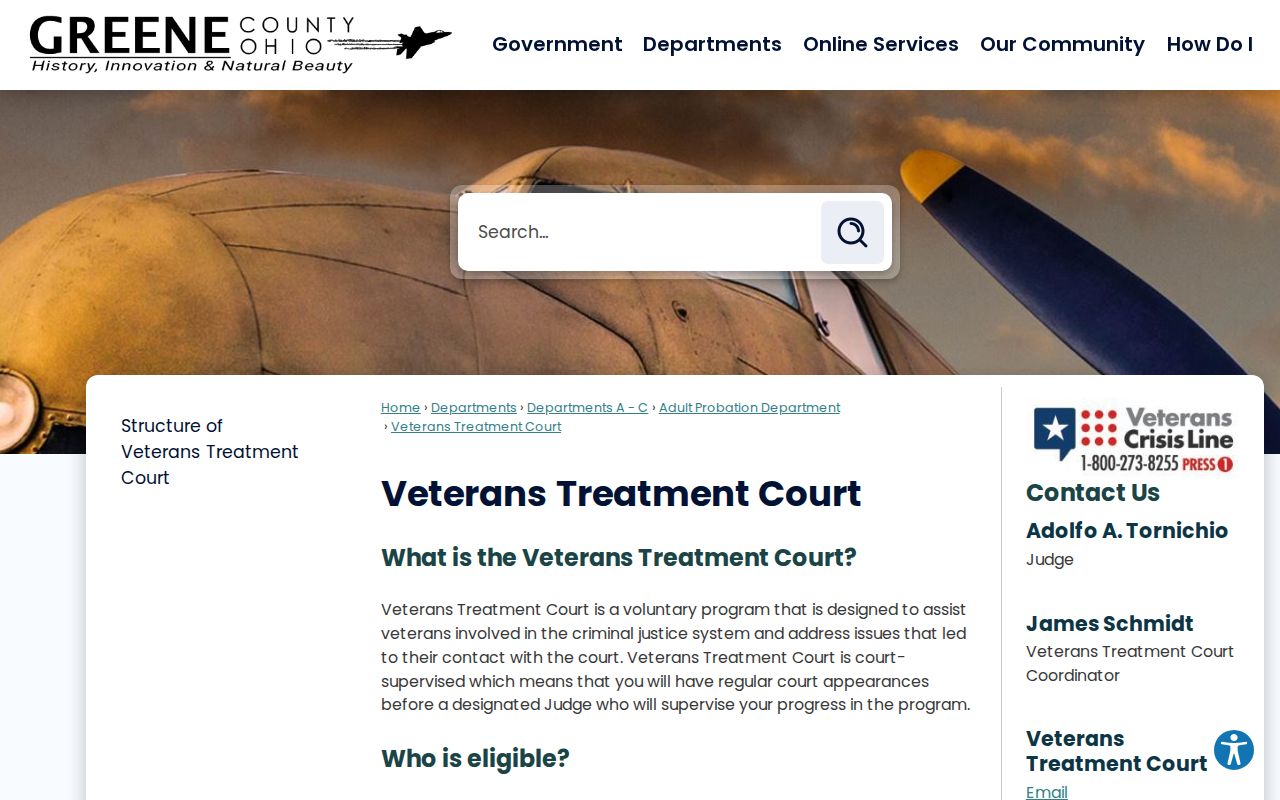 Greene County criminal docket Veterans Treatment Court program